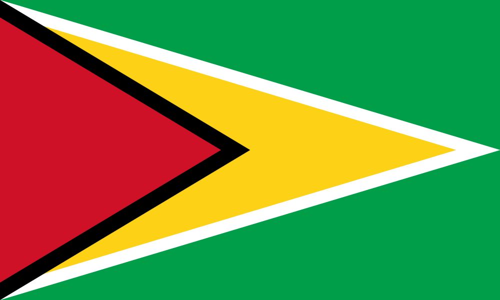 Guyana package - flags