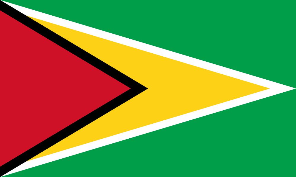 Flagge Guyana