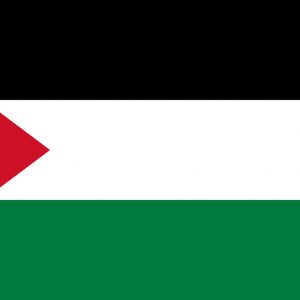 Palestina vlag package