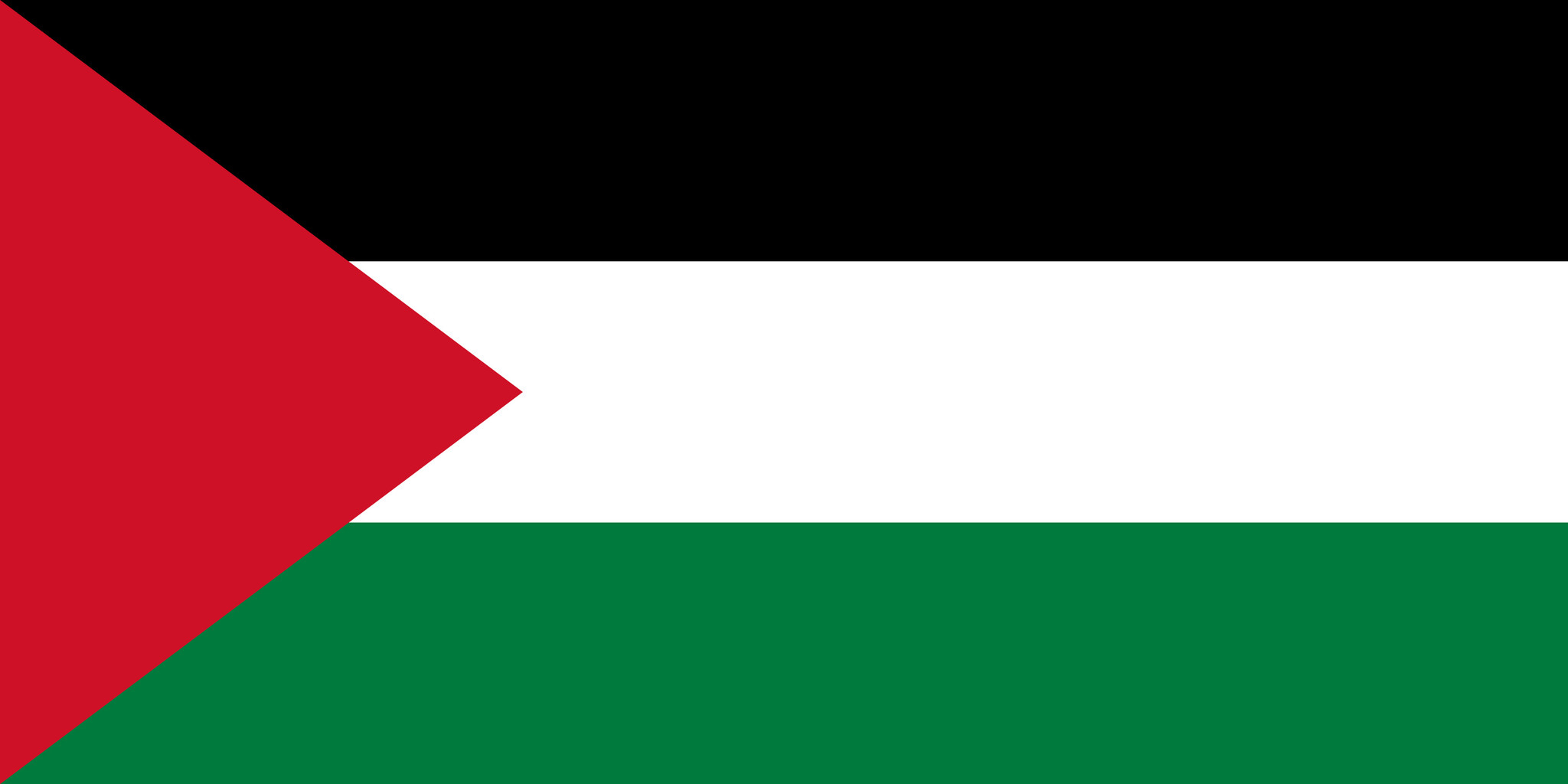 Palestine flag package - Country flags