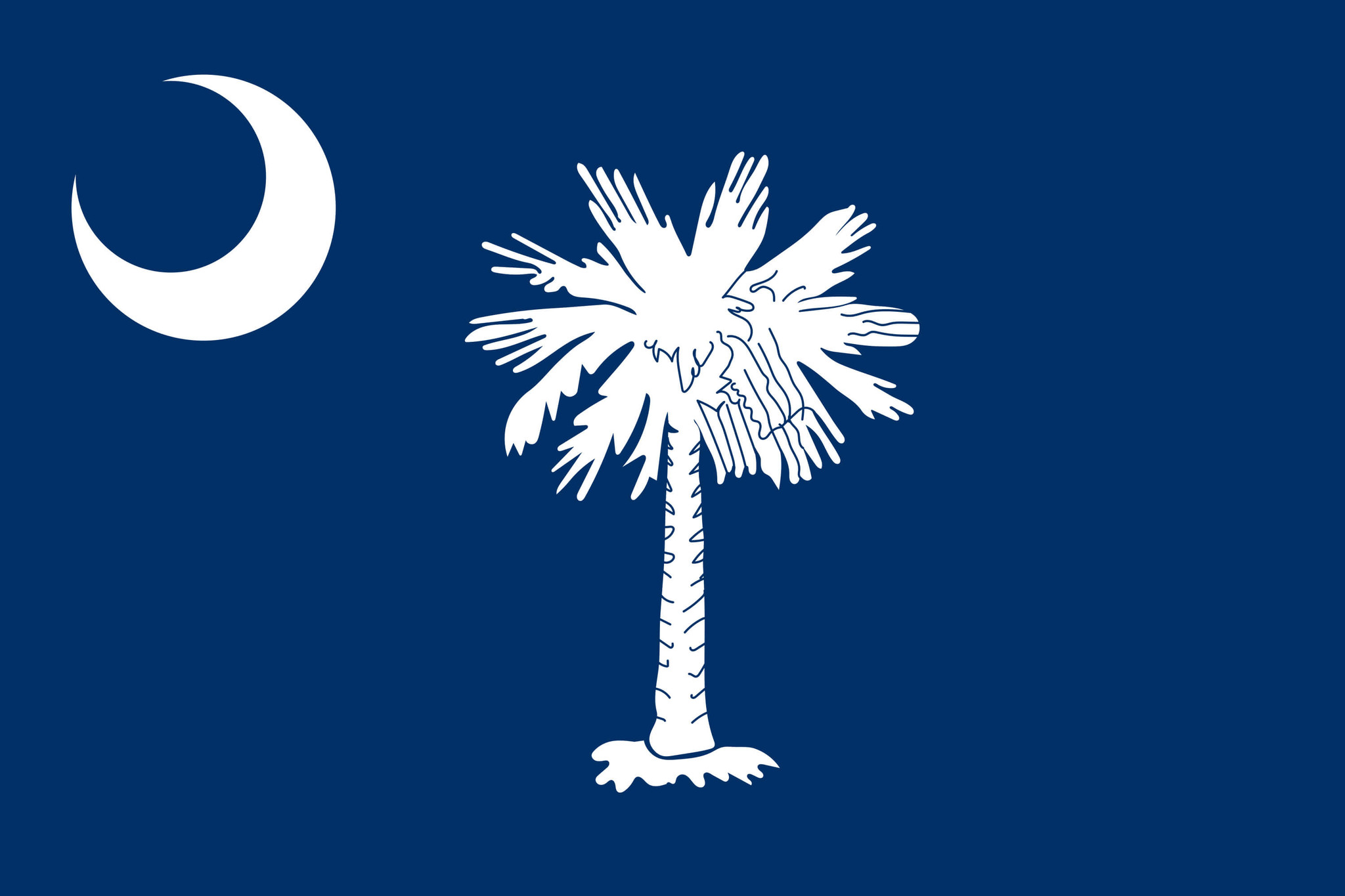 Flagge von South Carolina