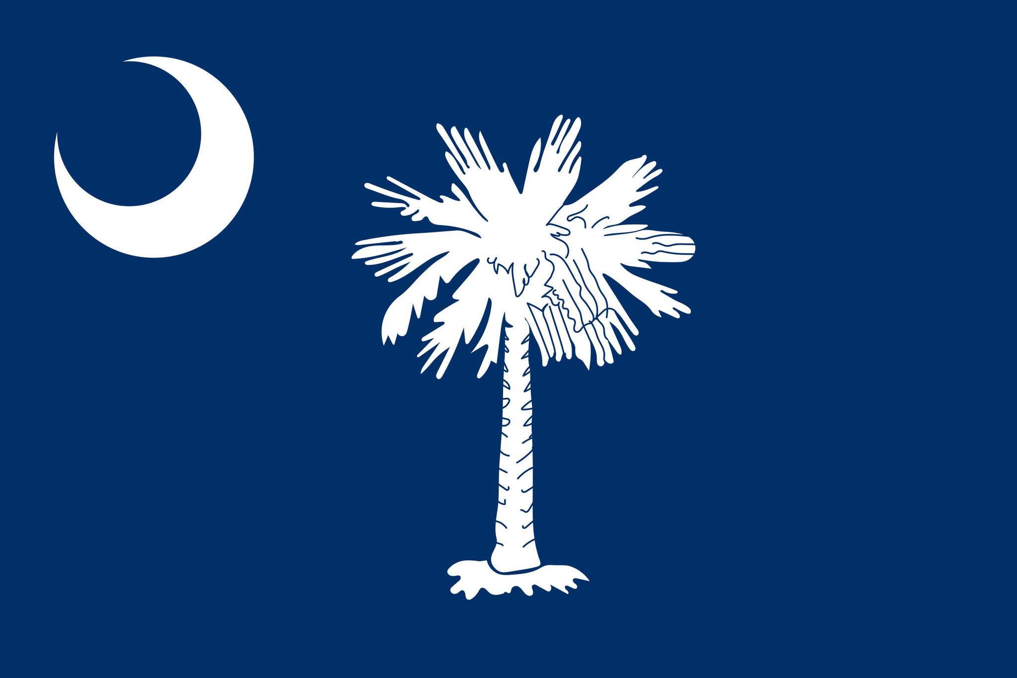 Vlag van South Carolina