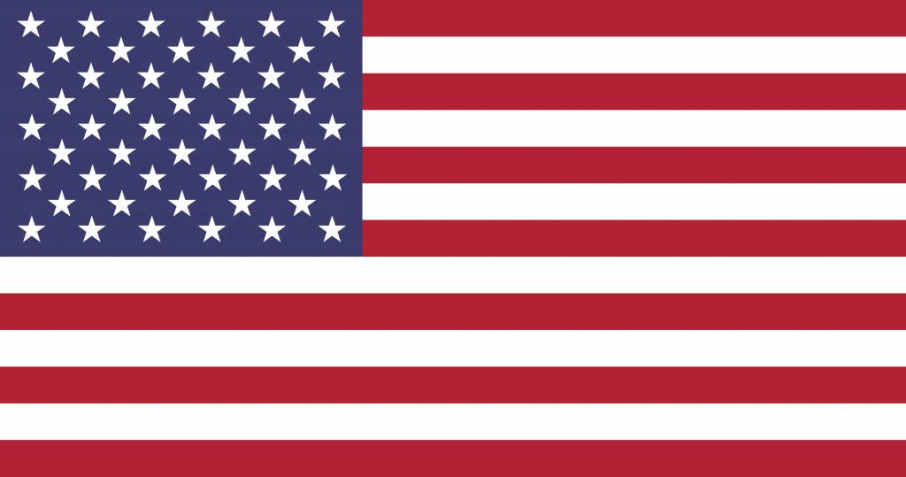 The United States flag vector - Country flags
